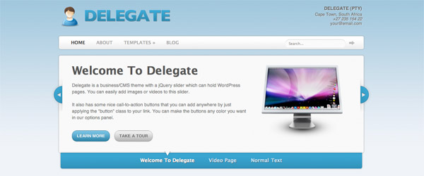 5 delegate A Collection of 25 Super High Quality WordPress Themes
