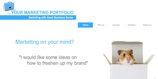 YMP 2010 Plus3 Wix   Free Flash Website Builder