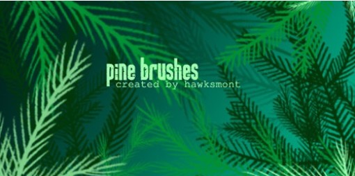 Pine Brushes